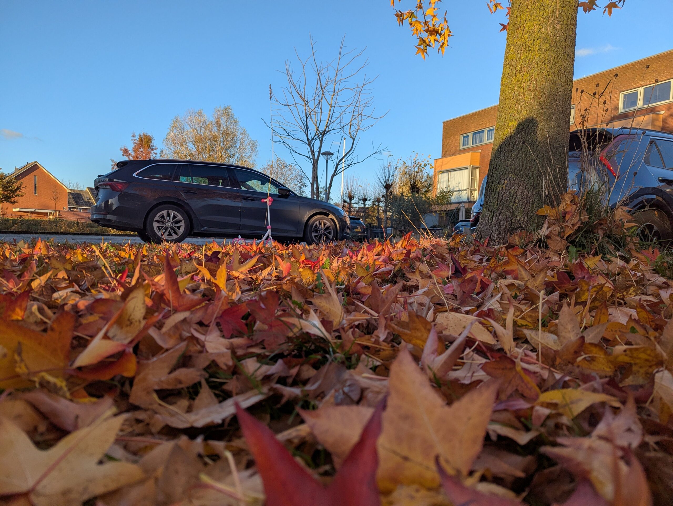 Autumn Walk in Amsterdam