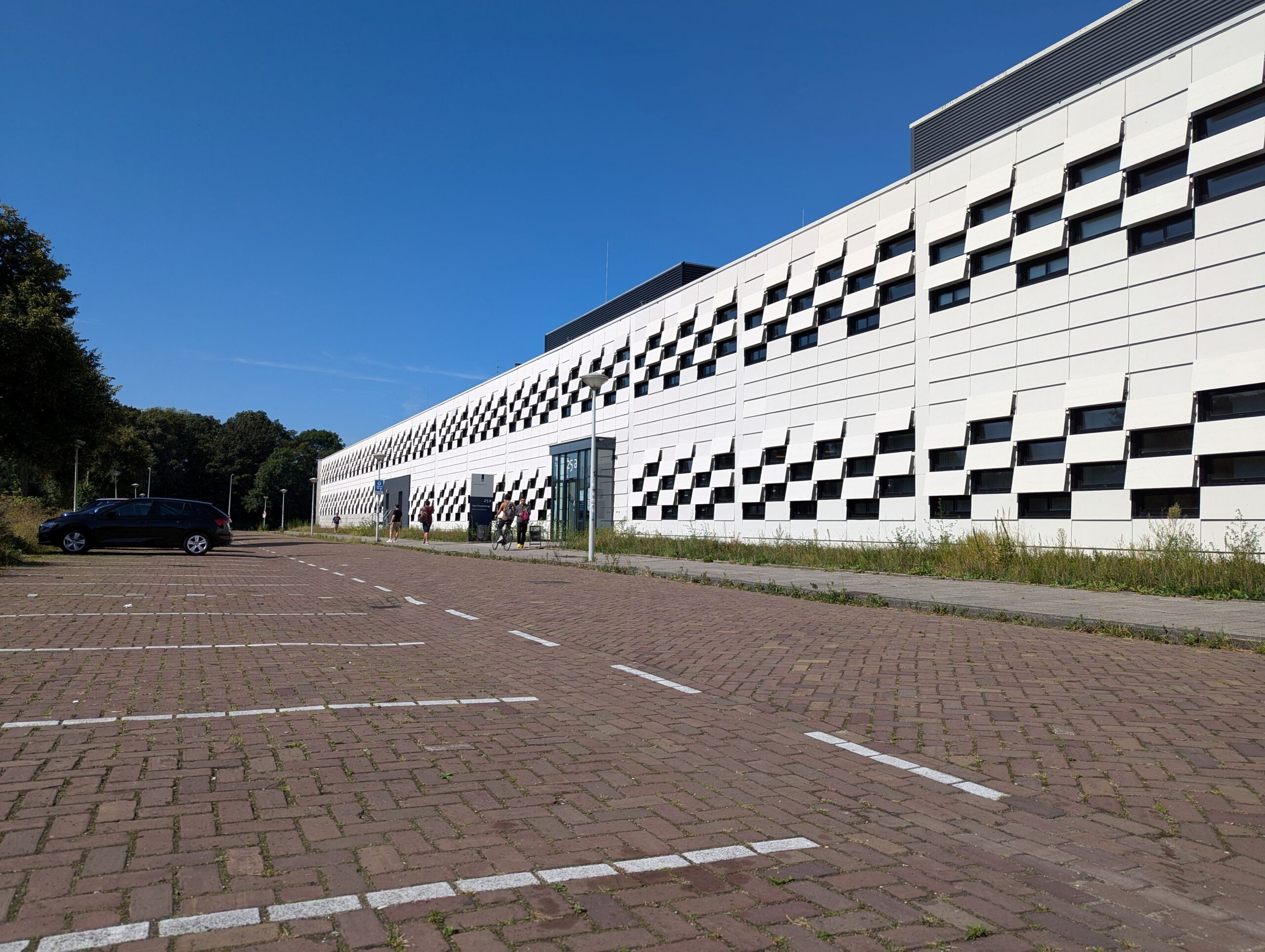 How I Learned Dutch for Inburgering? Completely Free. An Expat Guide.